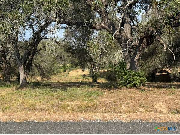 0.54 Acres of Residential Land for Sale in Elmendorf, Texas