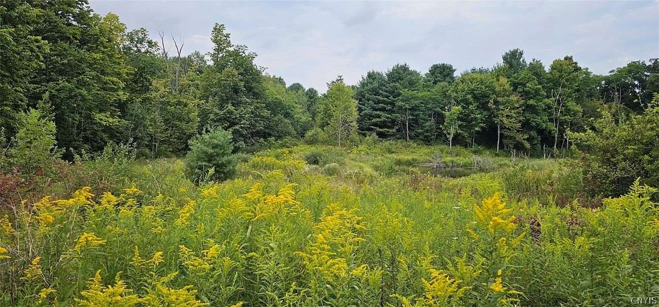 27.8 Acres of Land for Sale in Johnson City, New York