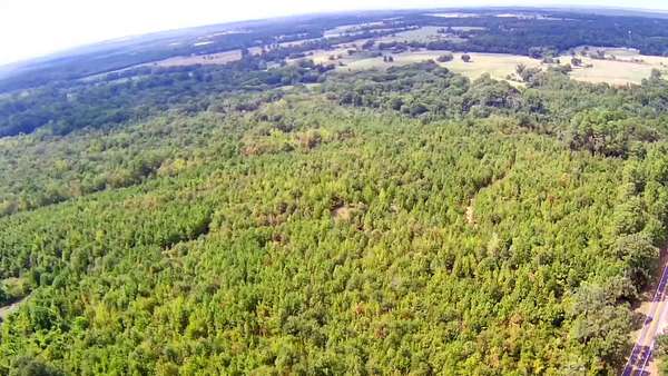 49.1 Acres of Recreational Land for Sale in Gilmer, Texas
