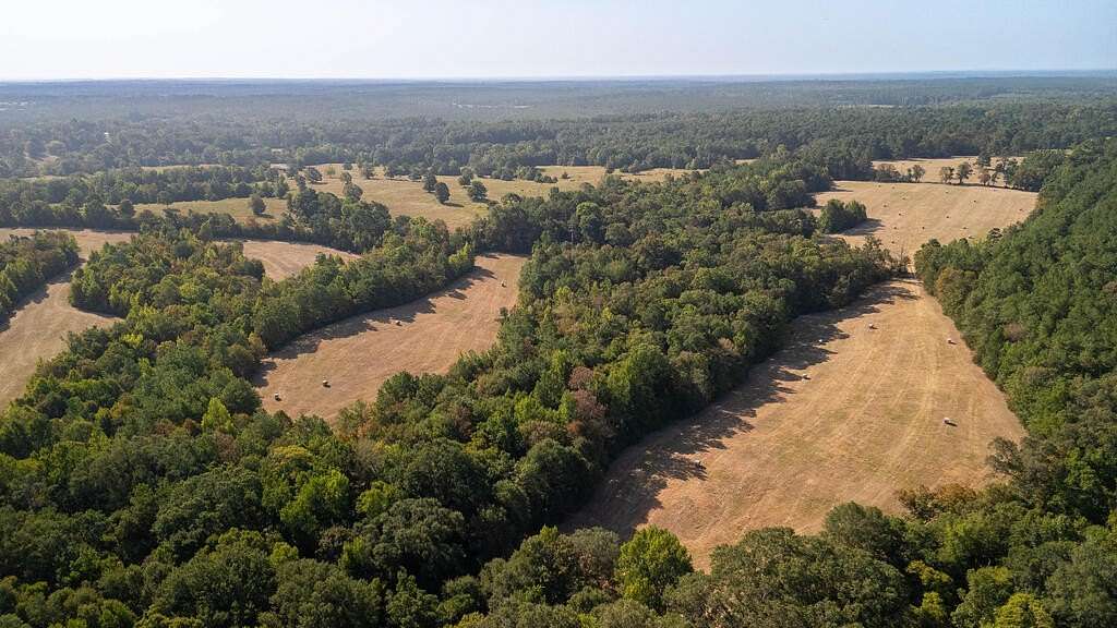 175 Acres of Land for Sale in Tenaha, Texas