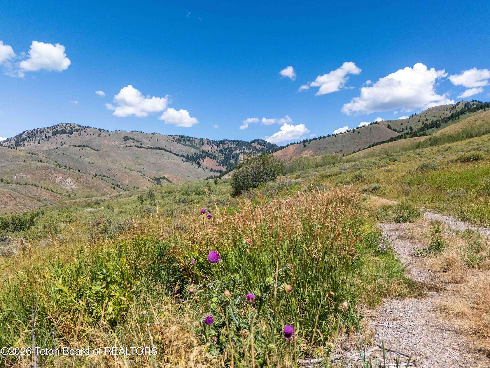 202 Acres of Land for Sale in Jackson, Wyoming
