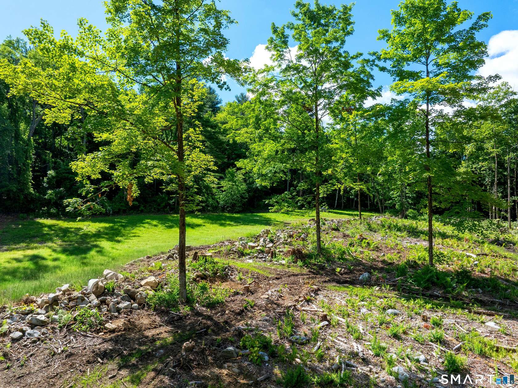 9.1 Acres of Residential Land for Sale in Cornwall, Connecticut