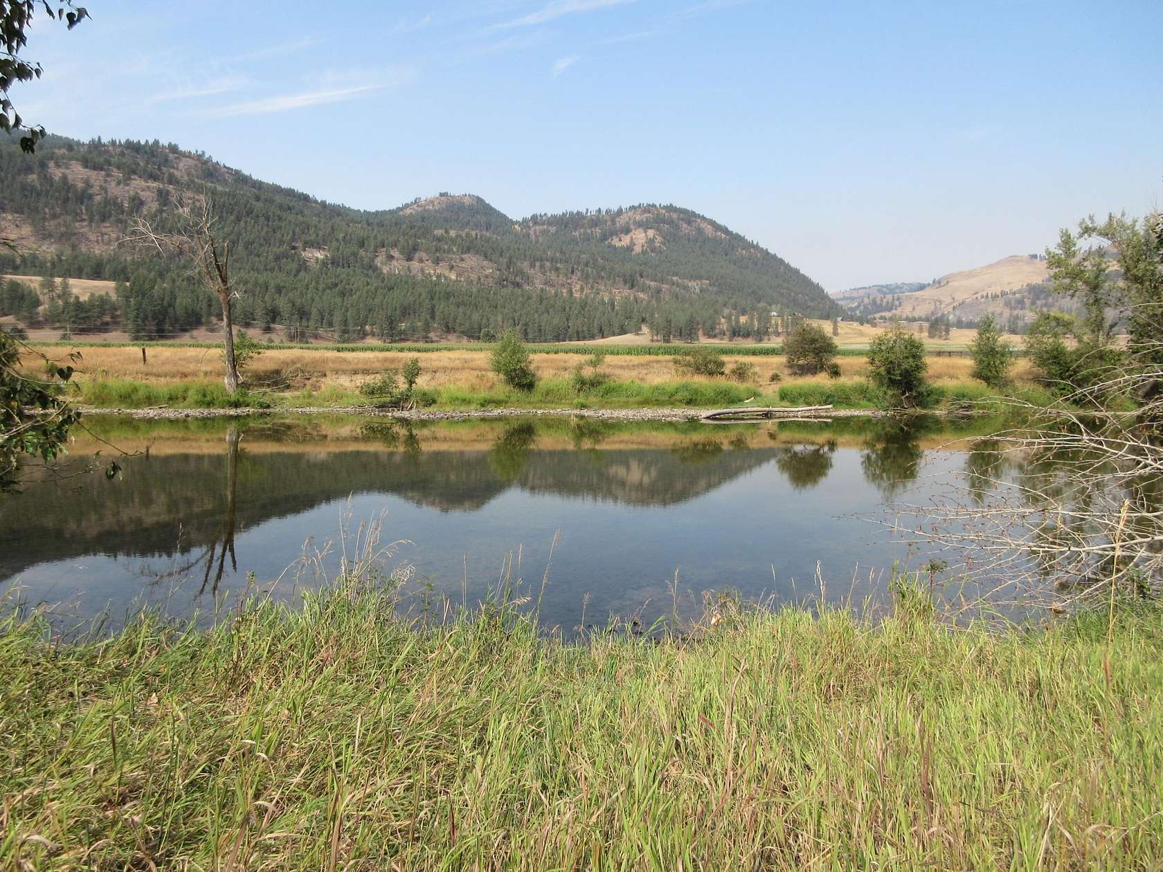 3.59 Acres of Residential Land for Sale in Curlew, Washington