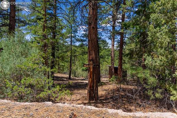 5.29 Acres of Land for Sale in Cotopaxi, Colorado