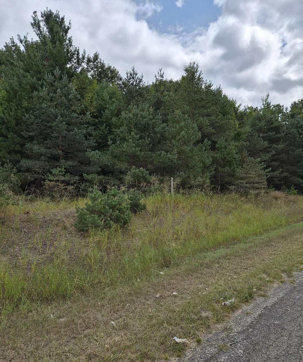 10 Acres of Land for Sale in Kaleva, Michigan