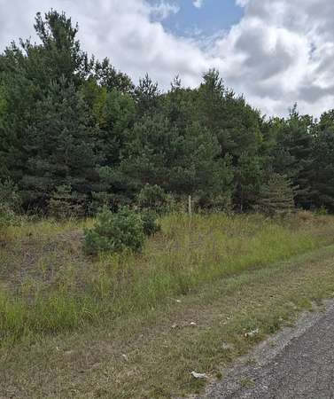 10 Acres of Land for Sale in Kaleva, Michigan