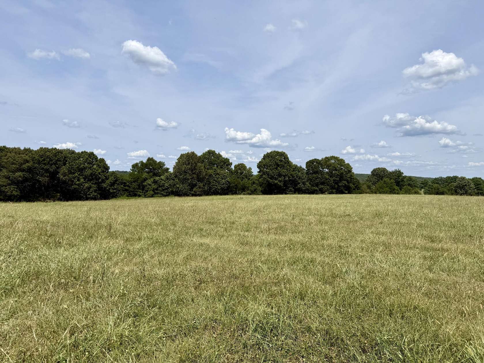 23.9 Acres of Recreational & Residential Land for Sale in Cabool, Missouri