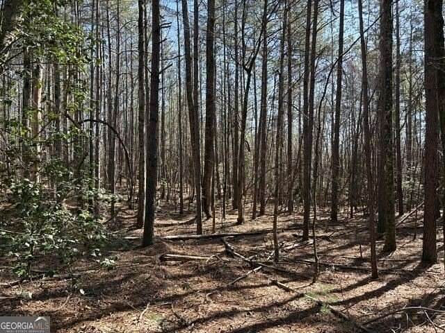 34 Acres of Recreational & Residential Land for Sale in Clarkesville, Georgia