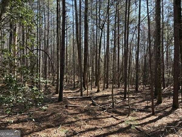34 Acres of Recreational & Residential Land for Sale in Clarkesville, Georgia