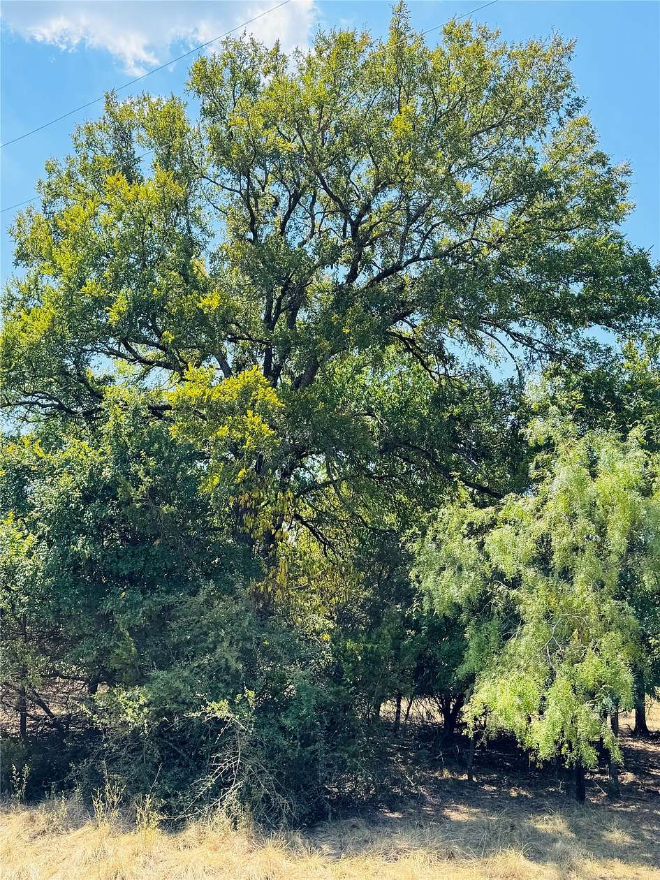 0.23 Acres of Residential Land for Sale in Whitney, Texas
