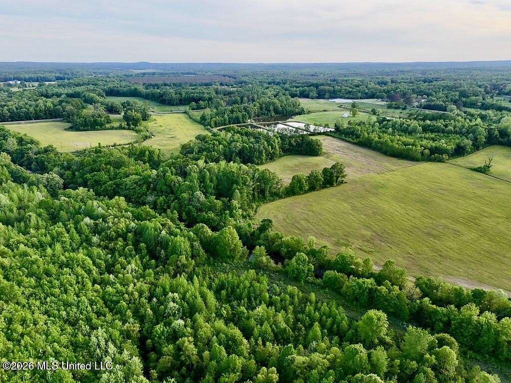 292 Acres of Land for Sale in Tiplersville, Mississippi