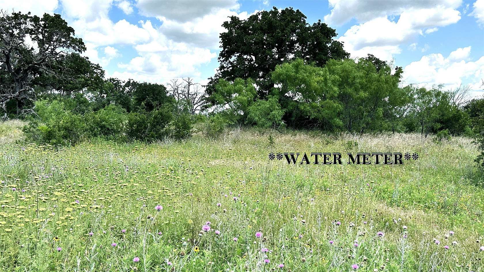 16.4 Acres of Recreational & Residential Land for Sale in Carbon, Texas