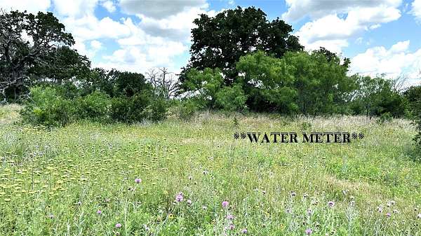 16.4 Acres of Recreational & Residential Land for Sale in Carbon, Texas