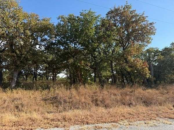 0.25 Acres of Residential Land for Sale in Nocona, Texas