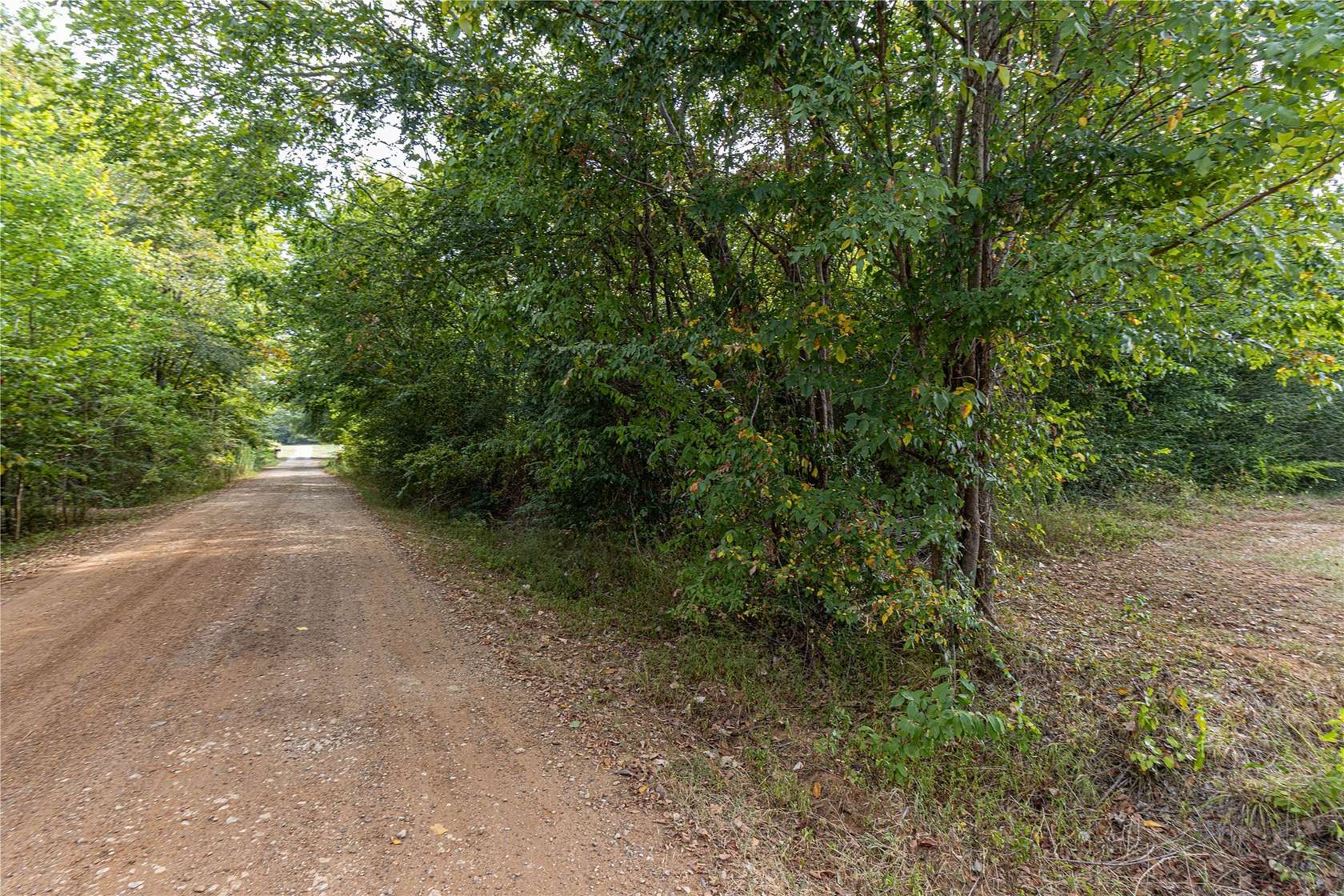 0.38 Acres of Residential Land for Sale in Bullard, Texas