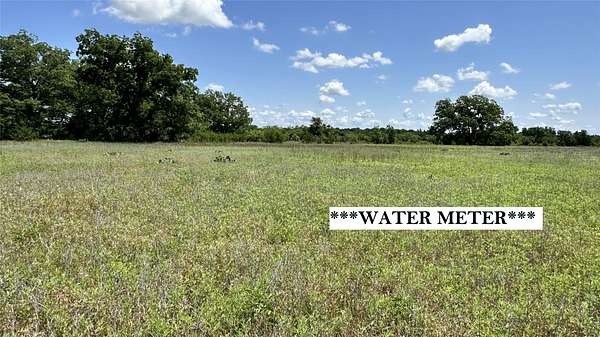 21 Acres of Land for Sale in Carbon, Texas