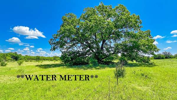 21 Acres of Land for Sale in Carbon, Texas