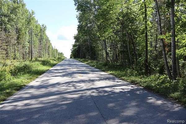 9.76 Acres of Residential Land for Sale in Drummond Township, Michigan