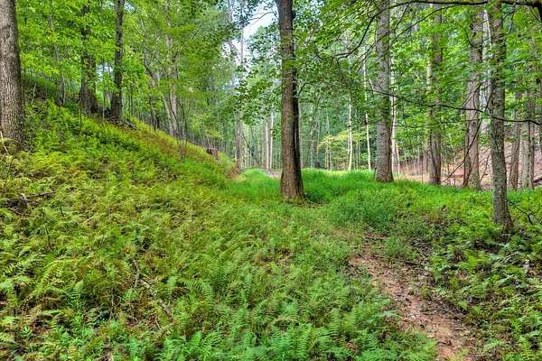 4.32 Acres of Residential Land for Sale in Blue Ridge, Georgia