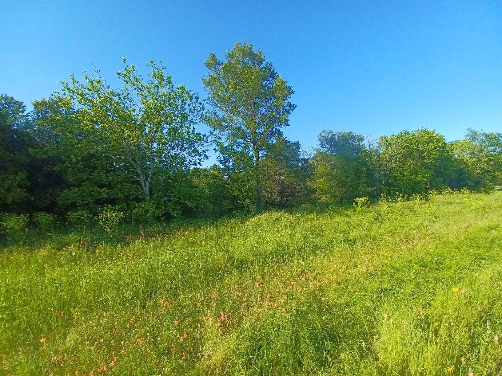 6.7 Acres of Residential Land for Sale in Mexia, Texas