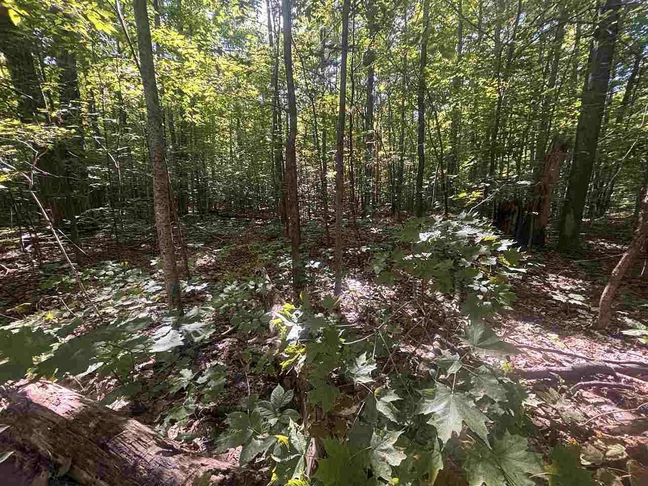 10 Acres of Recreational & Residential Land for Sale in Harbor Springs, Michigan