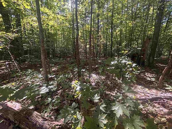 10 Acres of Recreational & Residential Land for Sale in Harbor Springs, Michigan