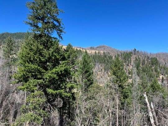 40 Acres of Recreational Land for Sale in Junction City, California