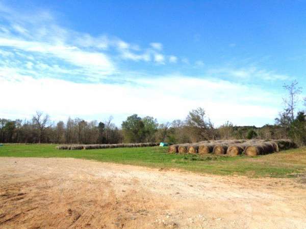 60 Acres of Land for Sale in Winnsboro, Texas