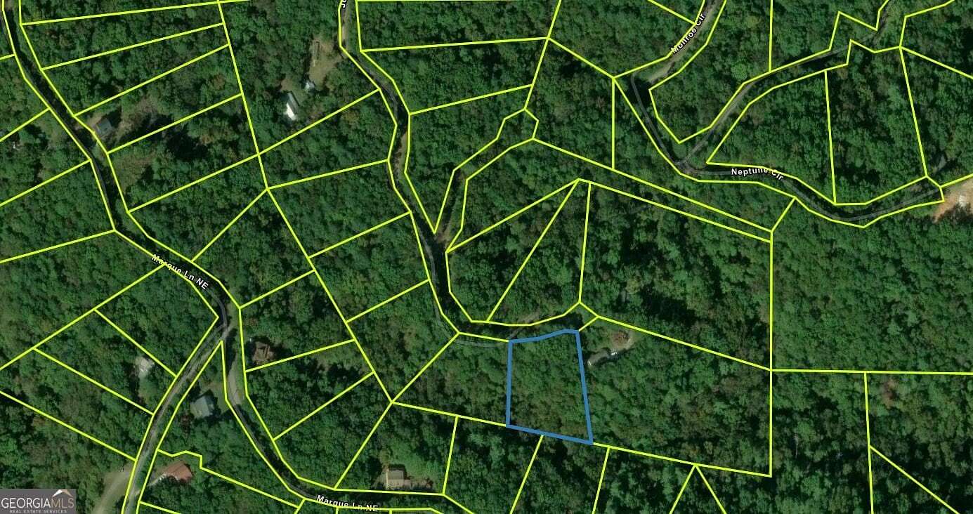 1.1 Acres of Residential Land for Sale in Ranger, Georgia