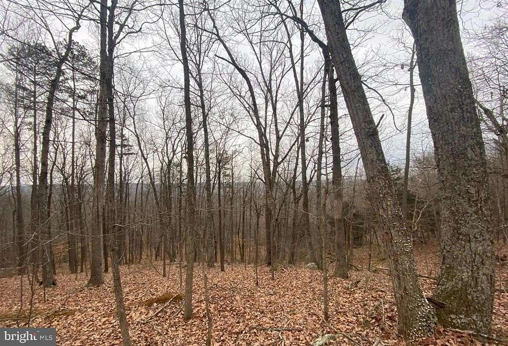 14.8 Acres of Recreational & Residential Land for Sale in Castleton, Virginia