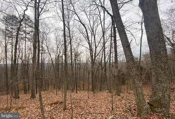 14.8 Acres of Recreational & Residential Land for Sale in Castleton, Virginia