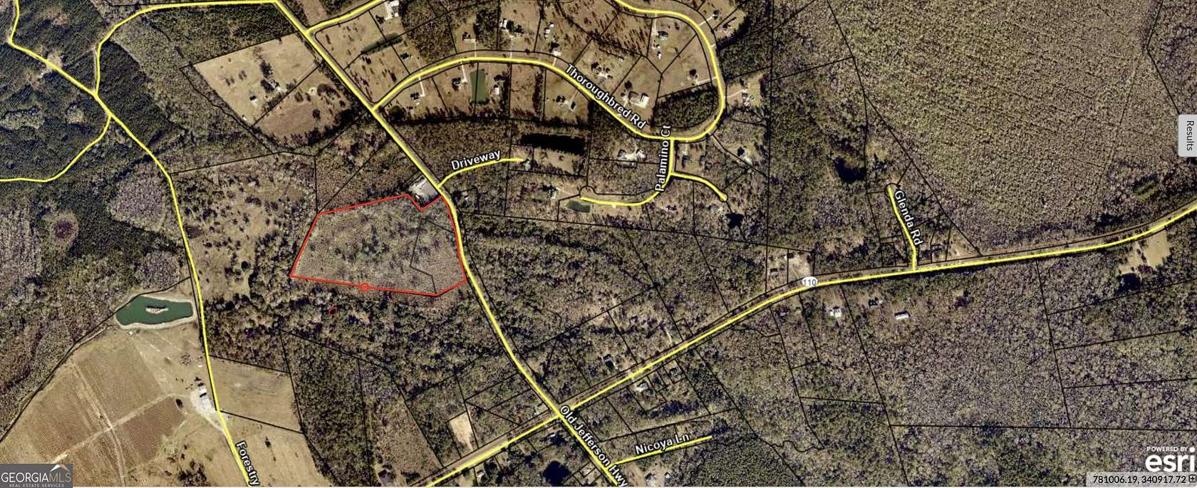 23.7 Acres of Recreational Land for Sale in Woodbine, Georgia