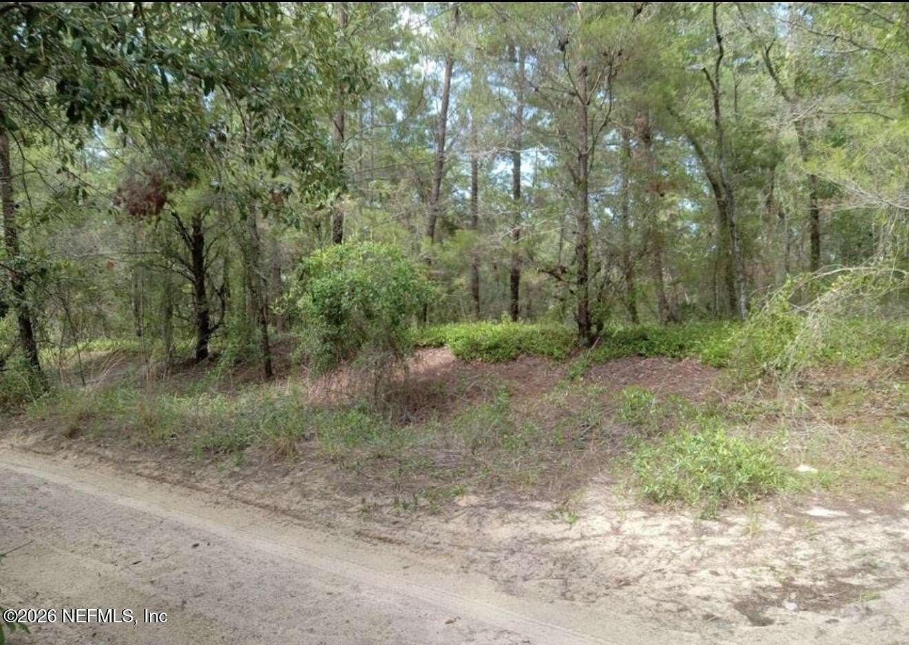 1 Acre of Land for Sale in Pomona Park, Florida