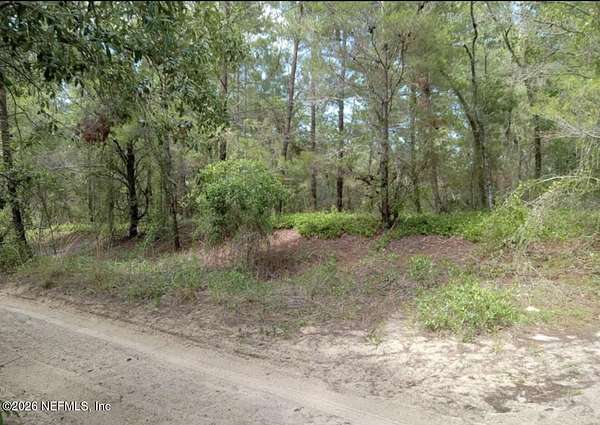 1 Acre of Land for Sale in Pomona Park, Florida