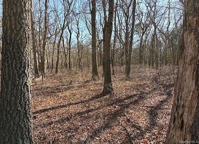 1 Acre of Land for Sale in Ridge, New York
