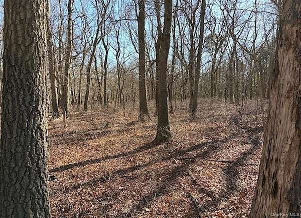 1 Acre of Land for Sale in Ridge, New York