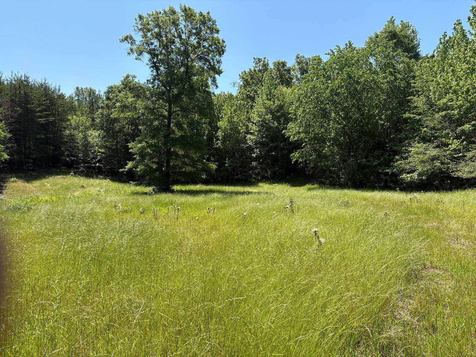 57 Acres of Land for Sale in Calera, Alabama