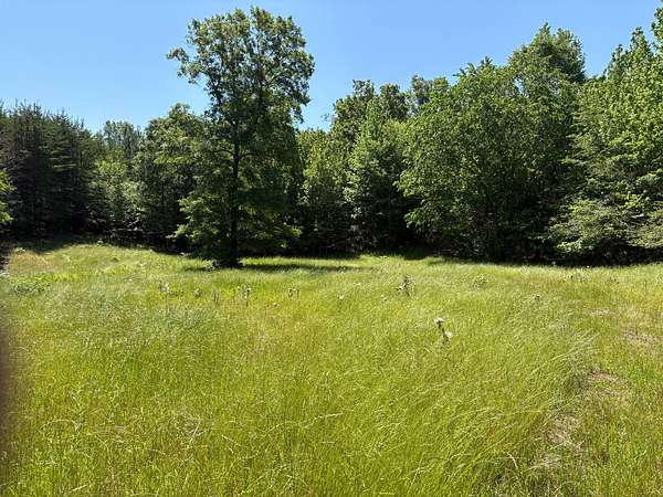 57 Acres of Land for Sale in Calera, Alabama