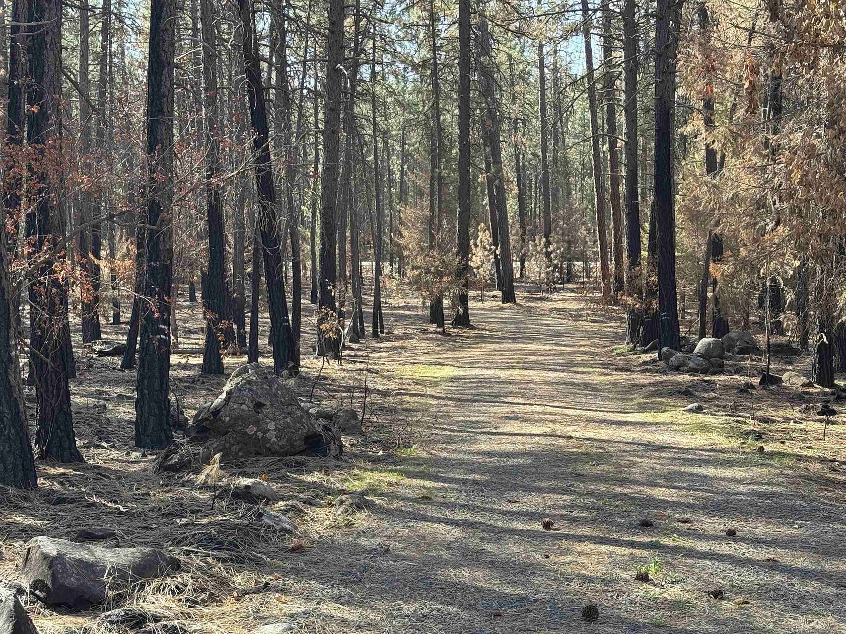 3.36 Acres of Residential Land for Sale in Nine Mile Falls, Washington
