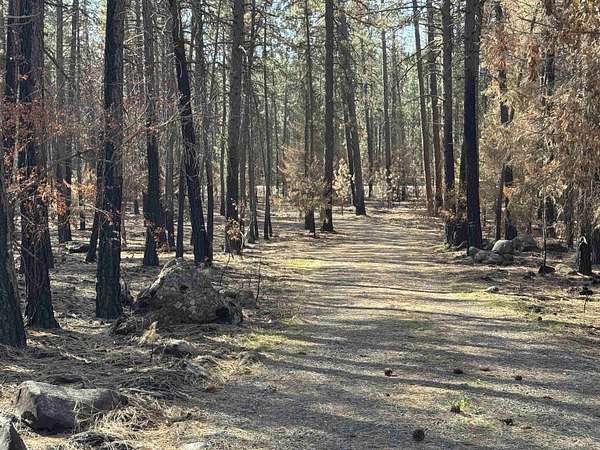 3.36 Acres of Residential Land for Sale in Nine Mile Falls, Washington