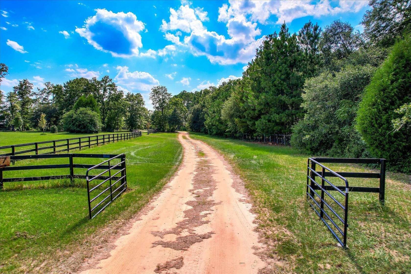 13.7 Acres of Agricultural Land for Sale in Aiken, South Carolina