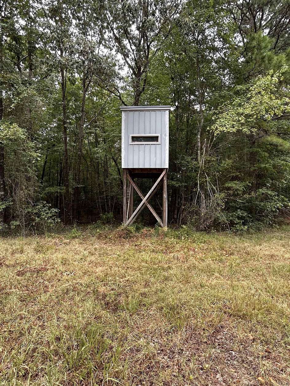 20 Acres of Recreational Land for Sale in Wickes, Arkansas