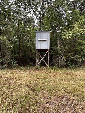 20 Acres of Recreational Land for Sale in Wickes, Arkansas