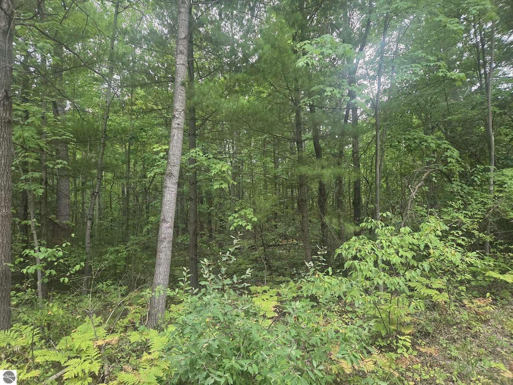 5 Acres of Land for Sale in Barryton, Michigan