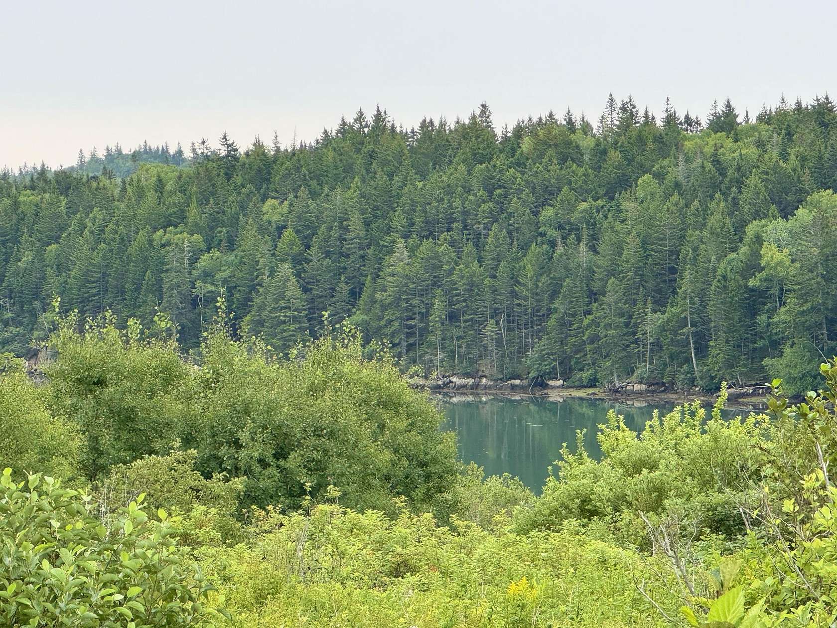 45 Acres of Recreational Land for Sale in Trescott Township, Maine