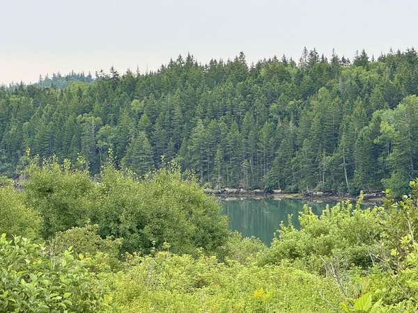 45 Acres of Recreational Land for Sale in Trescott Township, Maine