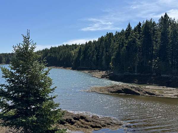 45 Acres of Recreational Land for Sale in Trescott Township, Maine