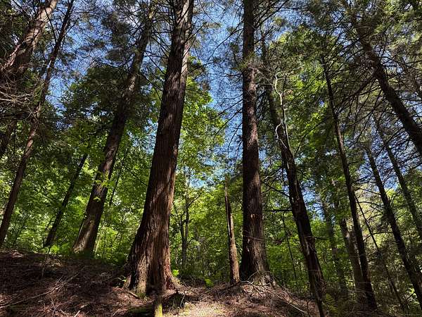 559 Acres of Recreational Land for Sale in Stoneboro, Pennsylvania