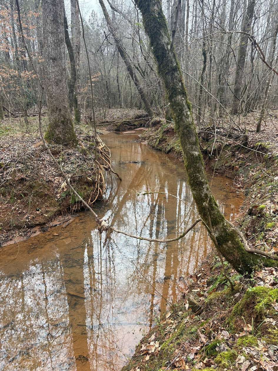 80 Acres of Land for Sale in Sylacauga, Alabama