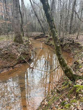 80 Acres of Land for Sale in Sylacauga, Alabama
